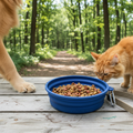 Collapsible travel food container for dogs and cats outdoors